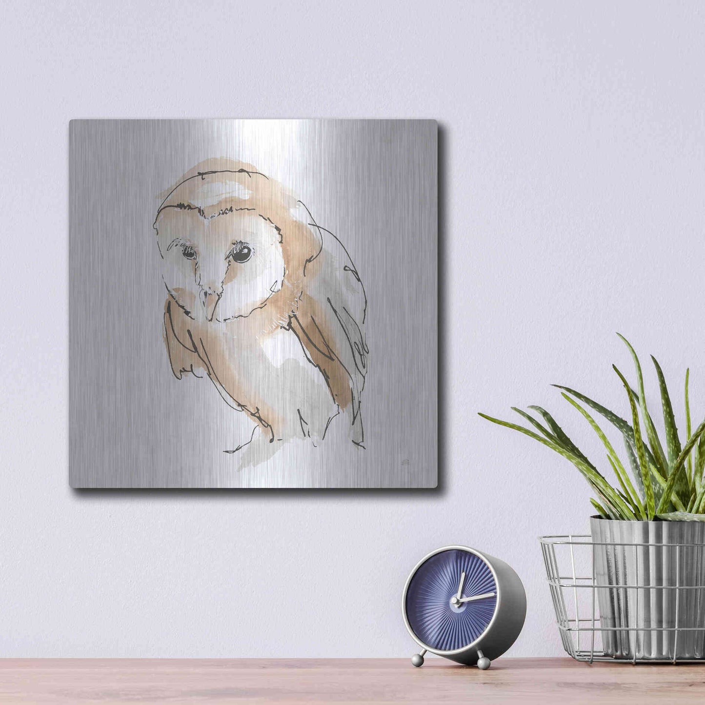 Luxe Metal Art 'Barn Owl I' by Chris Paschke, Metal Wall Art,12x12