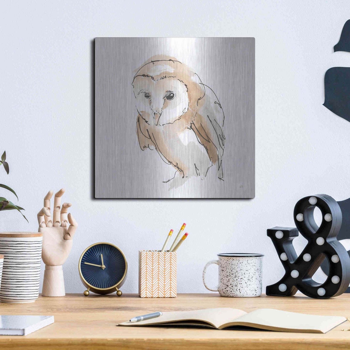 Luxe Metal Art 'Barn Owl I' by Chris Paschke, Metal Wall Art,12x12
