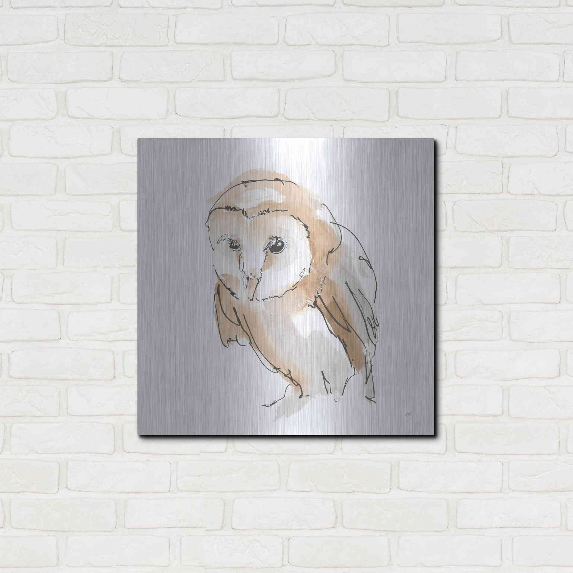 Luxe Metal Art 'Barn Owl I' by Chris Paschke, Metal Wall Art,24x24
