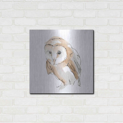 Luxe Metal Art 'Barn Owl I' by Chris Paschke, Metal Wall Art,24x24