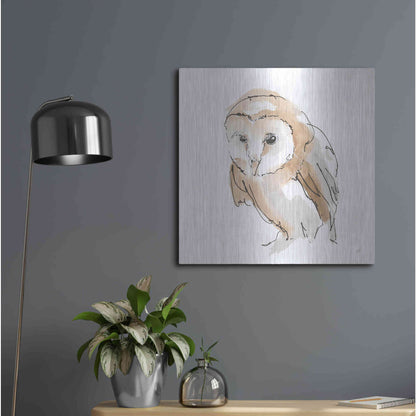Luxe Metal Art 'Barn Owl I' by Chris Paschke, Metal Wall Art,24x24