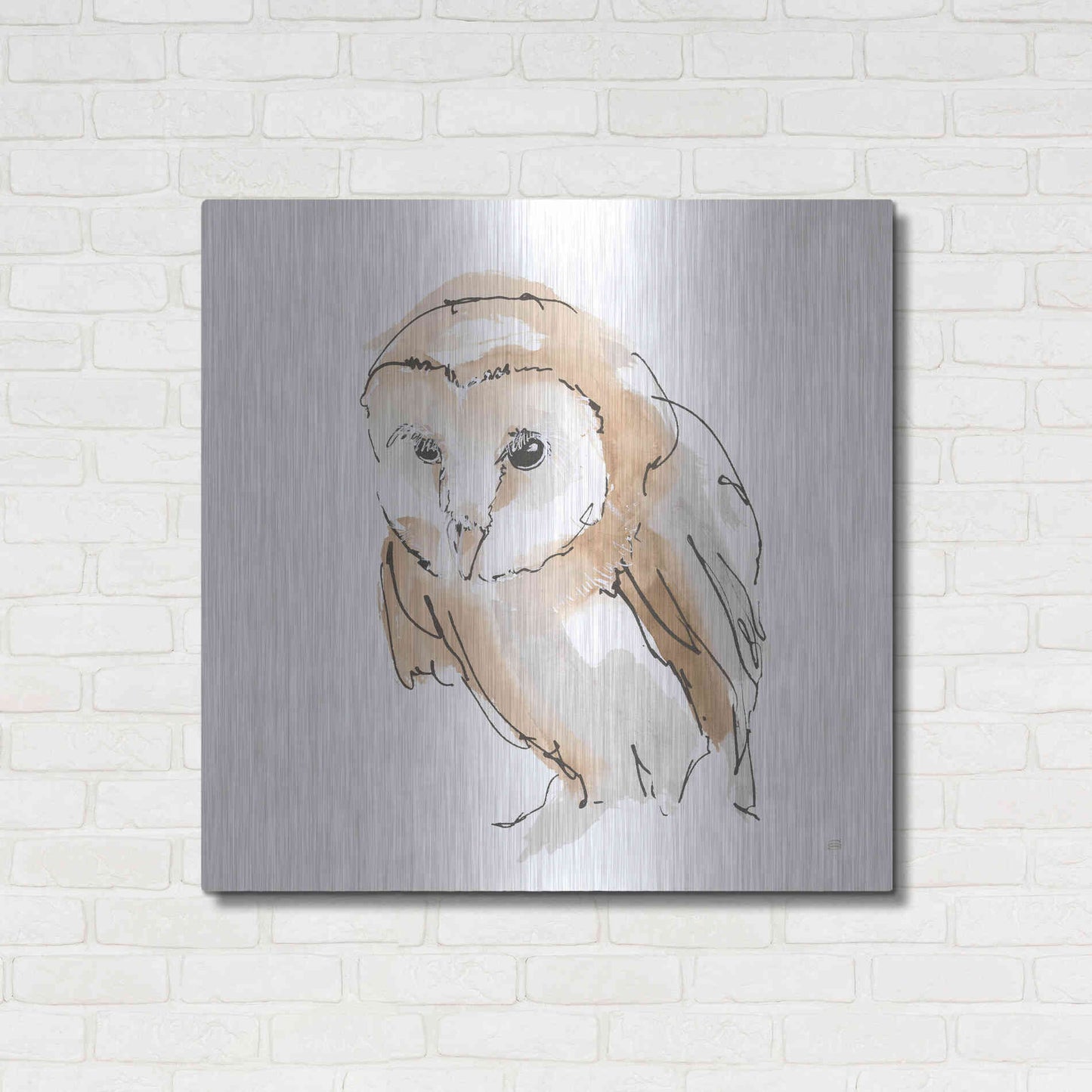 Luxe Metal Art 'Barn Owl I' by Chris Paschke, Metal Wall Art,36x36