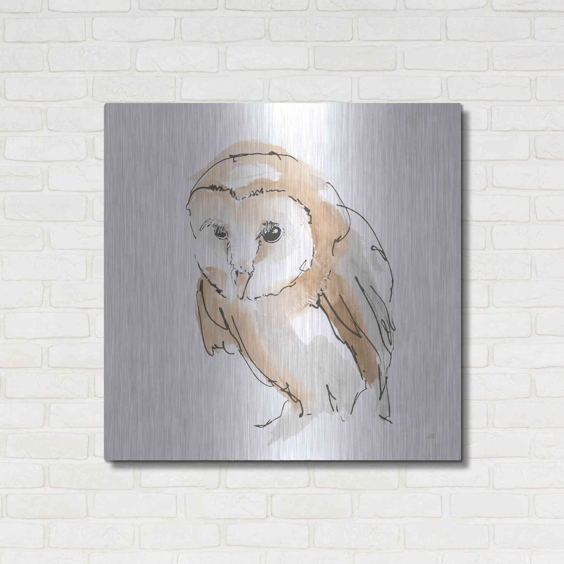 Luxe Metal Art 'Barn Owl I' by Chris Paschke, Metal Wall Art,36x36