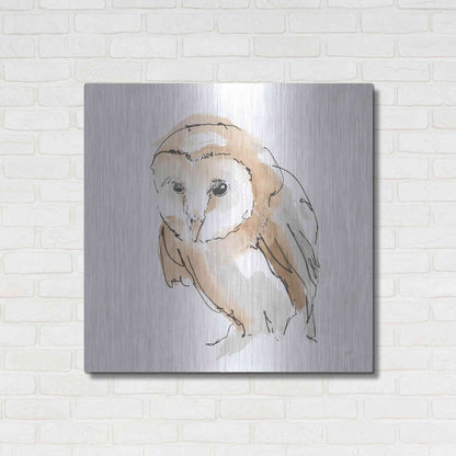 Luxe Metal Art 'Barn Owl I' by Chris Paschke, Metal Wall Art,36x36