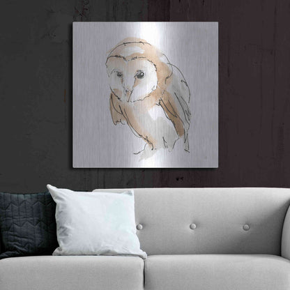 Luxe Metal Art 'Barn Owl I' by Chris Paschke, Metal Wall Art,36x36