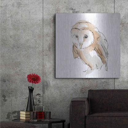 Luxe Metal Art 'Barn Owl I' by Chris Paschke, Metal Wall Art,36x36