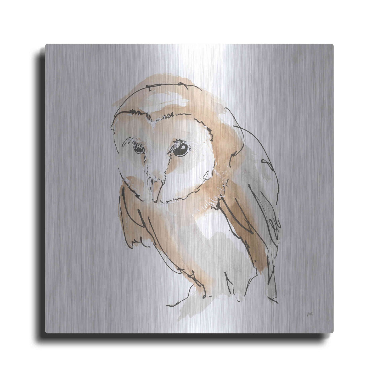 Luxe Metal Art 'Barn Owl I' by Chris Paschke, Metal Wall Art