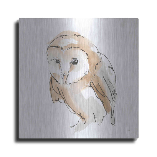 Luxe Metal Art 'Barn Owl I' by Chris Paschke, Metal Wall Art