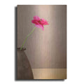 Luxe Metal Art 'Simple' by Elena Ray, Metal Wall Art