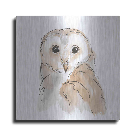 Luxe Metal Art 'Barn Owl II' by Chris Paschke, Metal Wall Art
