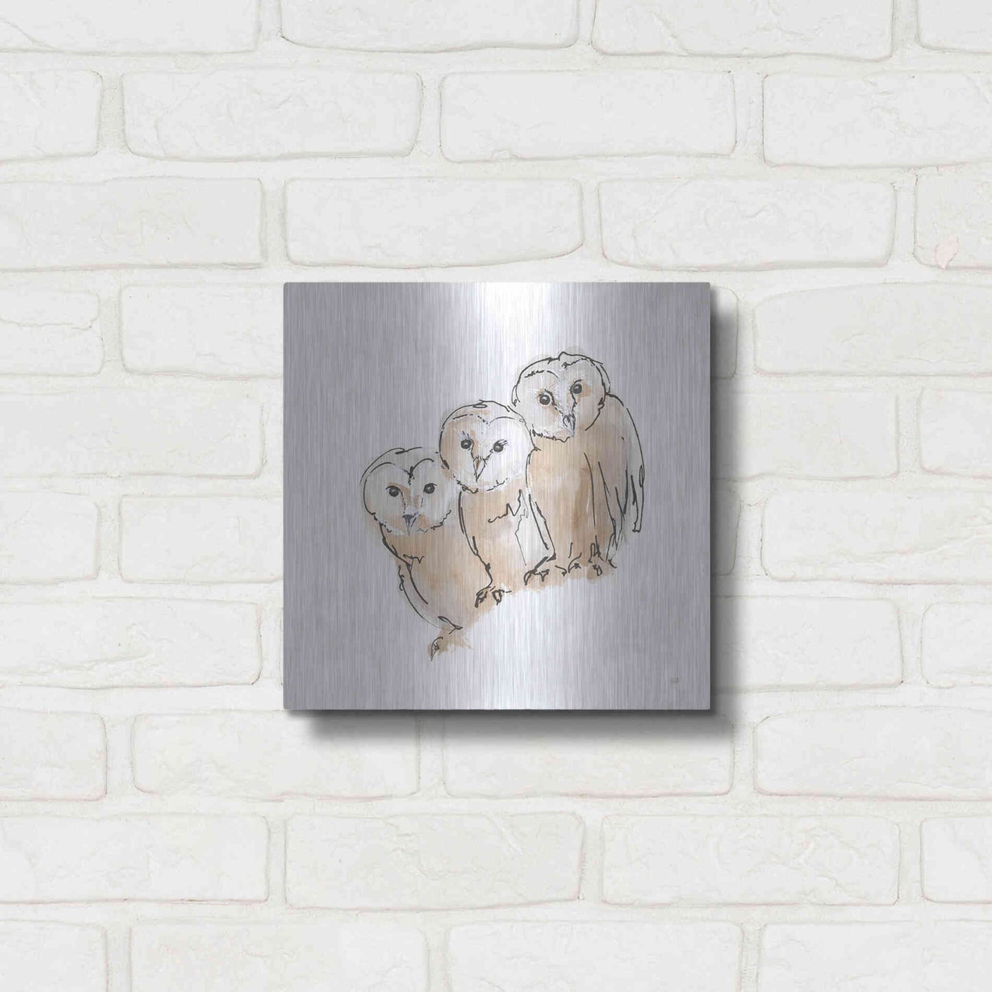 Luxe Metal Art 'Barn Owl III' by Chris Paschke, Metal Wall Art,12x12