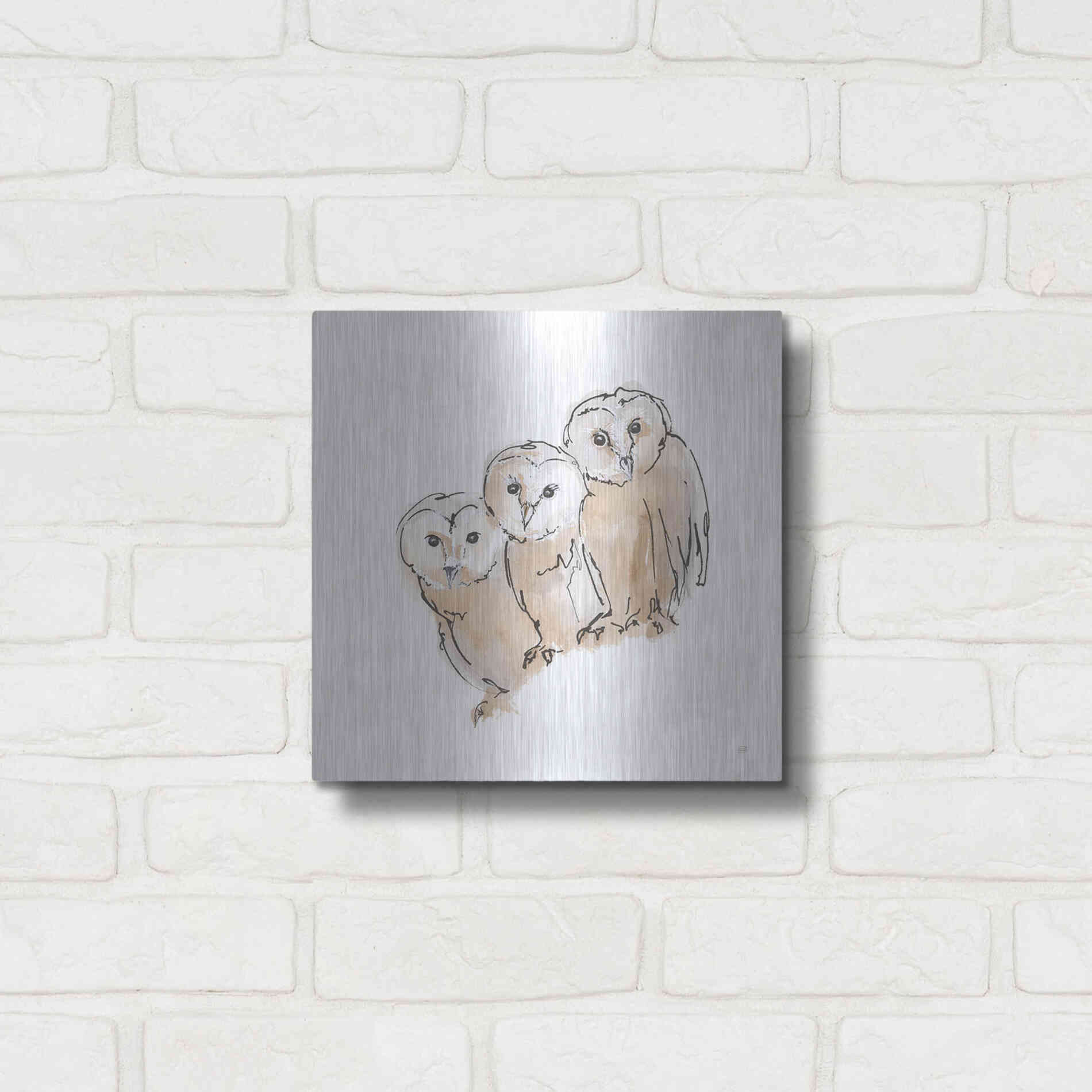 Luxe Metal Art 'Barn Owl III' by Chris Paschke, Metal Wall Art,12x12