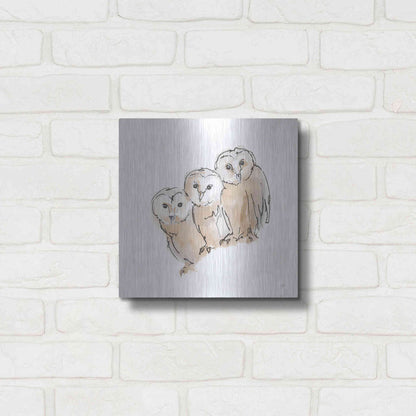 Luxe Metal Art 'Barn Owl III' by Chris Paschke, Metal Wall Art,12x12