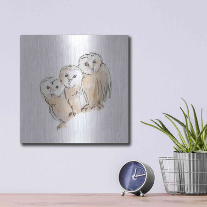 Luxe Metal Art 'Barn Owl III' by Chris Paschke, Metal Wall Art,12x12