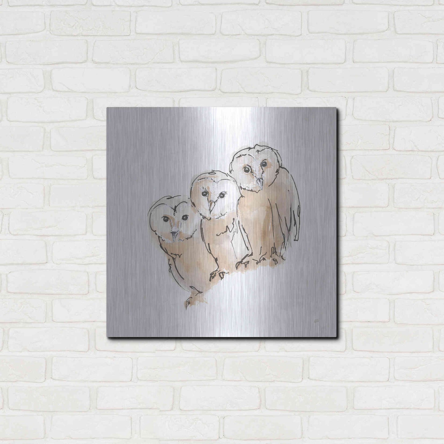 Luxe Metal Art 'Barn Owl III' by Chris Paschke, Metal Wall Art,24x24