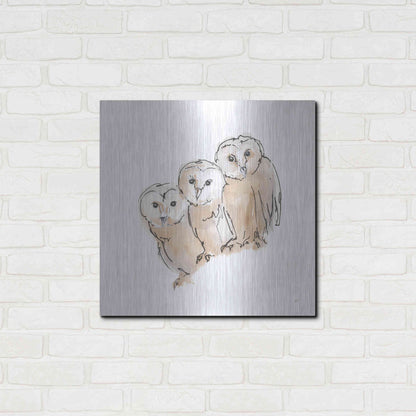 Luxe Metal Art 'Barn Owl III' by Chris Paschke, Metal Wall Art,24x24