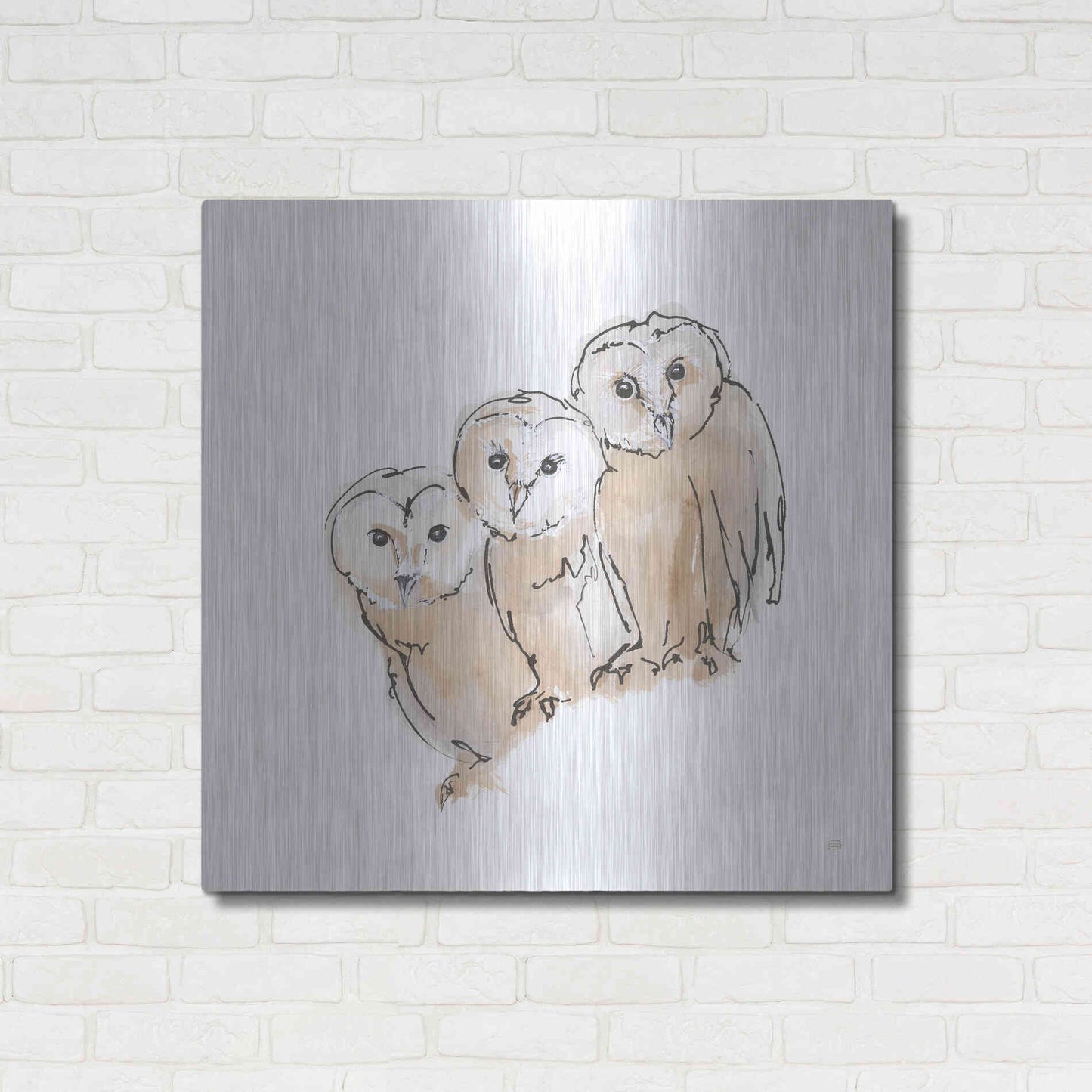 Luxe Metal Art 'Barn Owl III' by Chris Paschke, Metal Wall Art,36x36