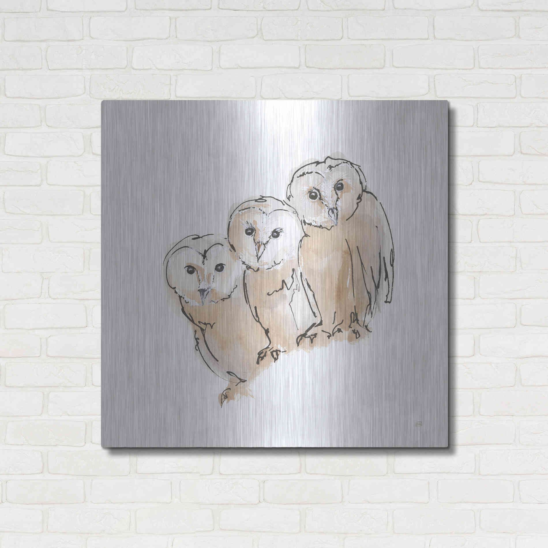 Luxe Metal Art 'Barn Owl III' by Chris Paschke, Metal Wall Art,36x36