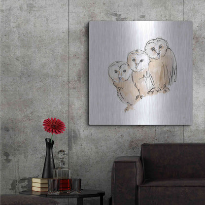 Luxe Metal Art 'Barn Owl III' by Chris Paschke, Metal Wall Art,36x36