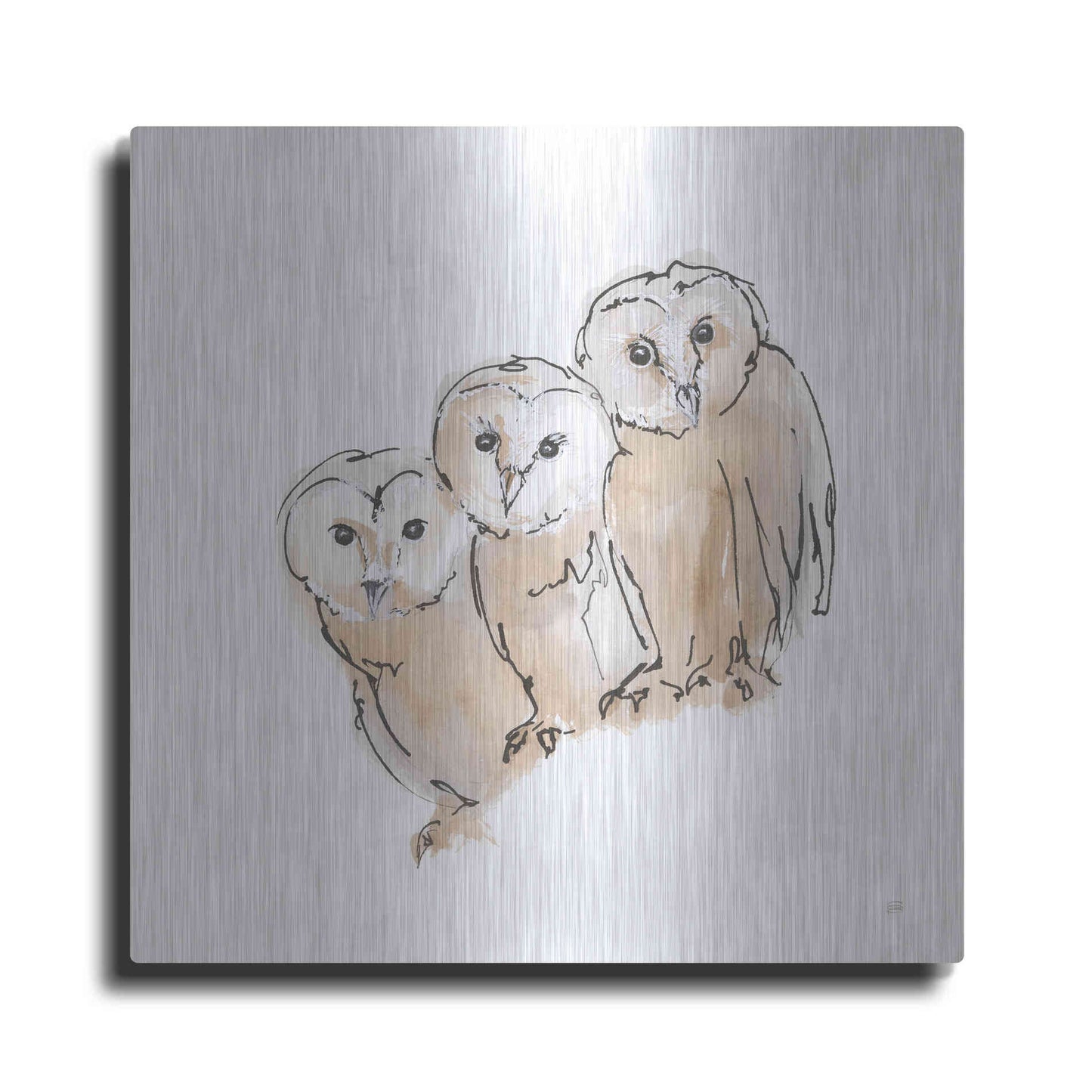 Luxe Metal Art 'Barn Owl III' by Chris Paschke, Metal Wall Art