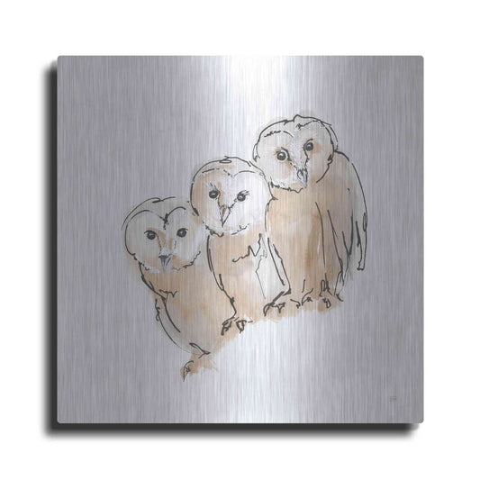 Luxe Metal Art 'Barn Owl III' by Chris Paschke, Metal Wall Art