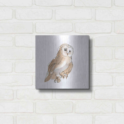 Luxe Metal Art 'Barn Owl IV' by Chris Paschke, Metal Wall Art,12x12