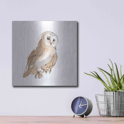 Luxe Metal Art 'Barn Owl IV' by Chris Paschke, Metal Wall Art,12x12