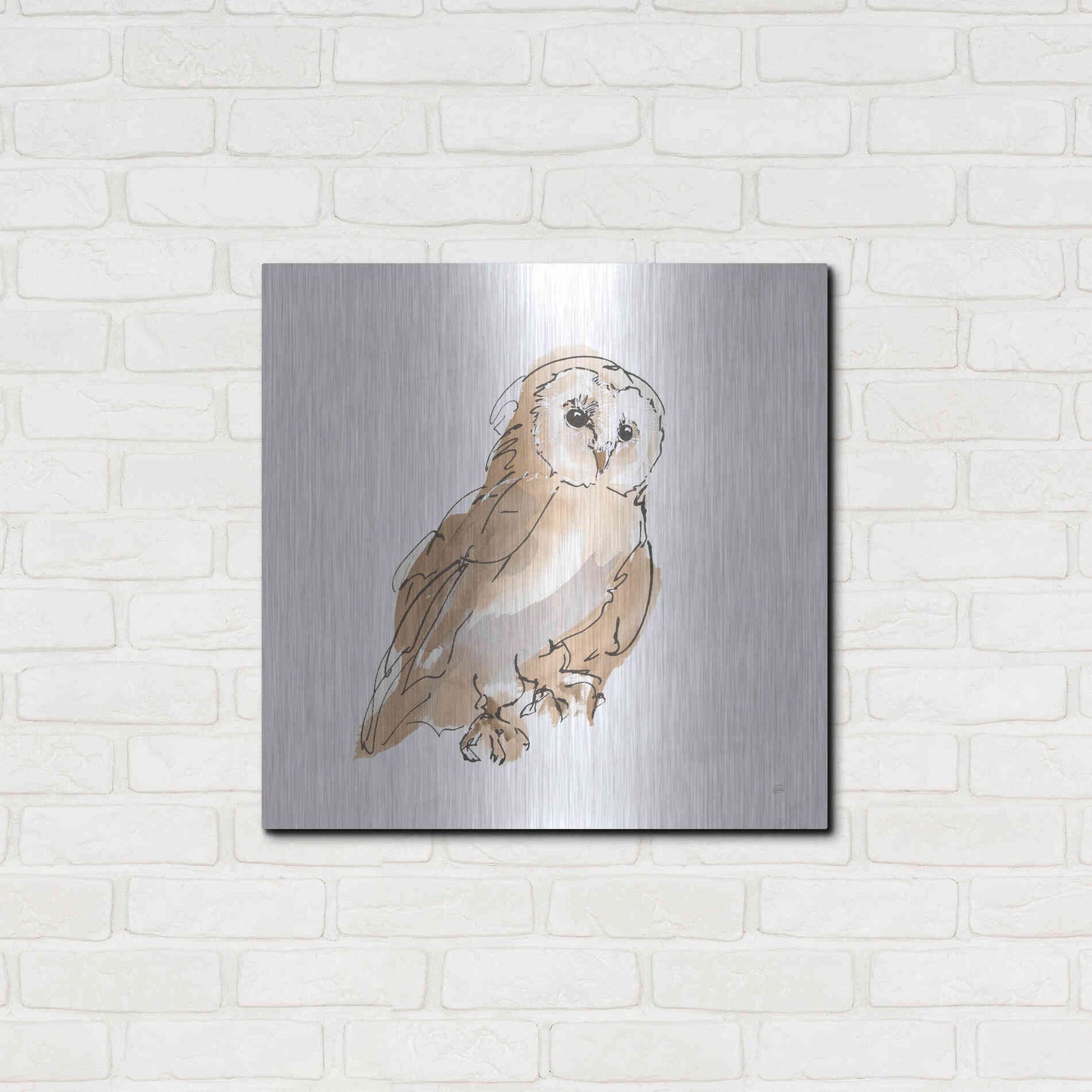 Luxe Metal Art 'Barn Owl IV' by Chris Paschke, Metal Wall Art,24x24