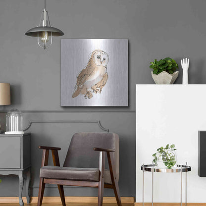 Luxe Metal Art 'Barn Owl IV' by Chris Paschke, Metal Wall Art,24x24