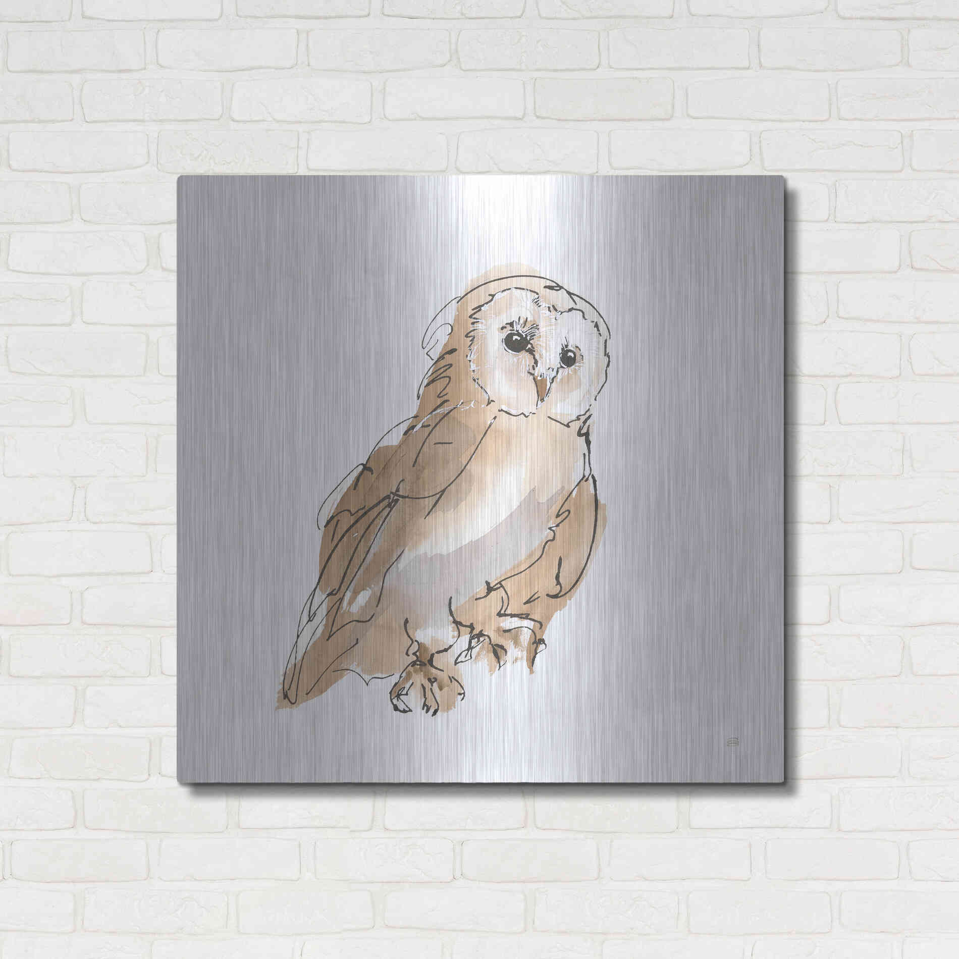 Luxe Metal Art 'Barn Owl IV' by Chris Paschke, Metal Wall Art,36x36