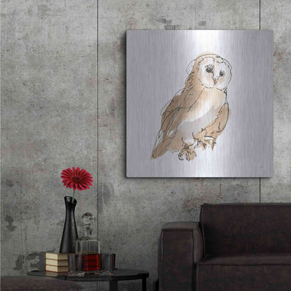 Luxe Metal Art 'Barn Owl IV' by Chris Paschke, Metal Wall Art,36x36