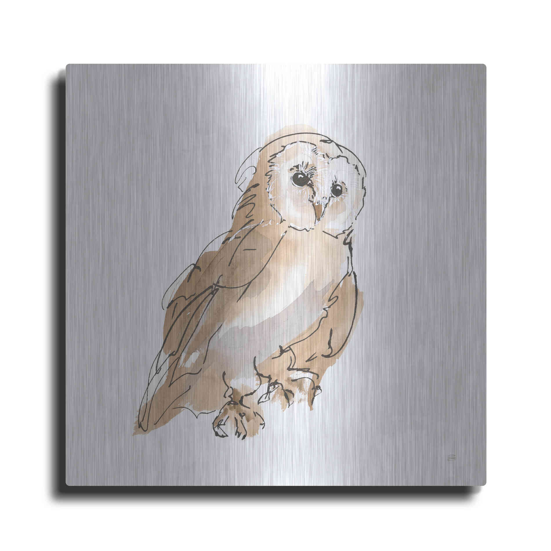 Luxe Metal Art 'Barn Owl IV' by Chris Paschke, Metal Wall Art