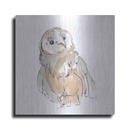 Luxe Metal Art 'Barn Owl V' by Chris Paschke, Metal Wall Art