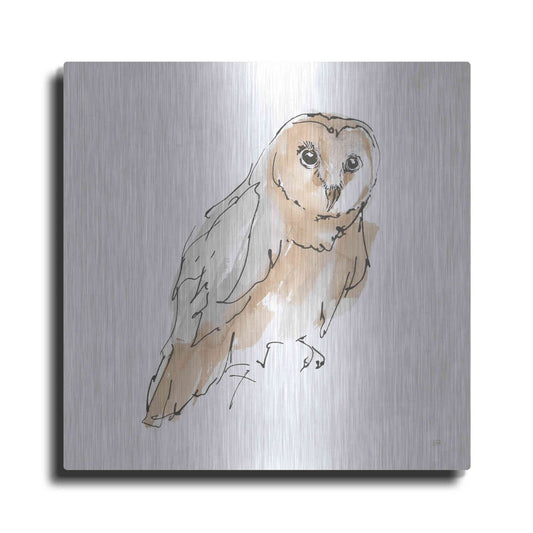 Luxe Metal Art 'Barn Owl VI' by Chris Paschke, Metal Wall Art