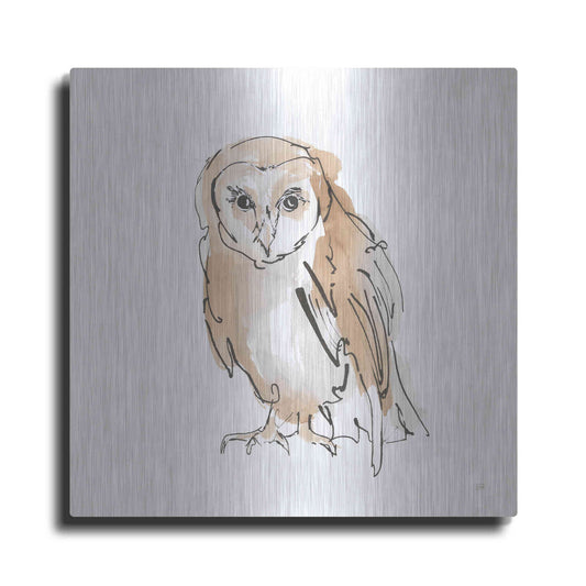 Luxe Metal Art 'Barn Owl VII' by Chris Paschke, Metal Wall Art