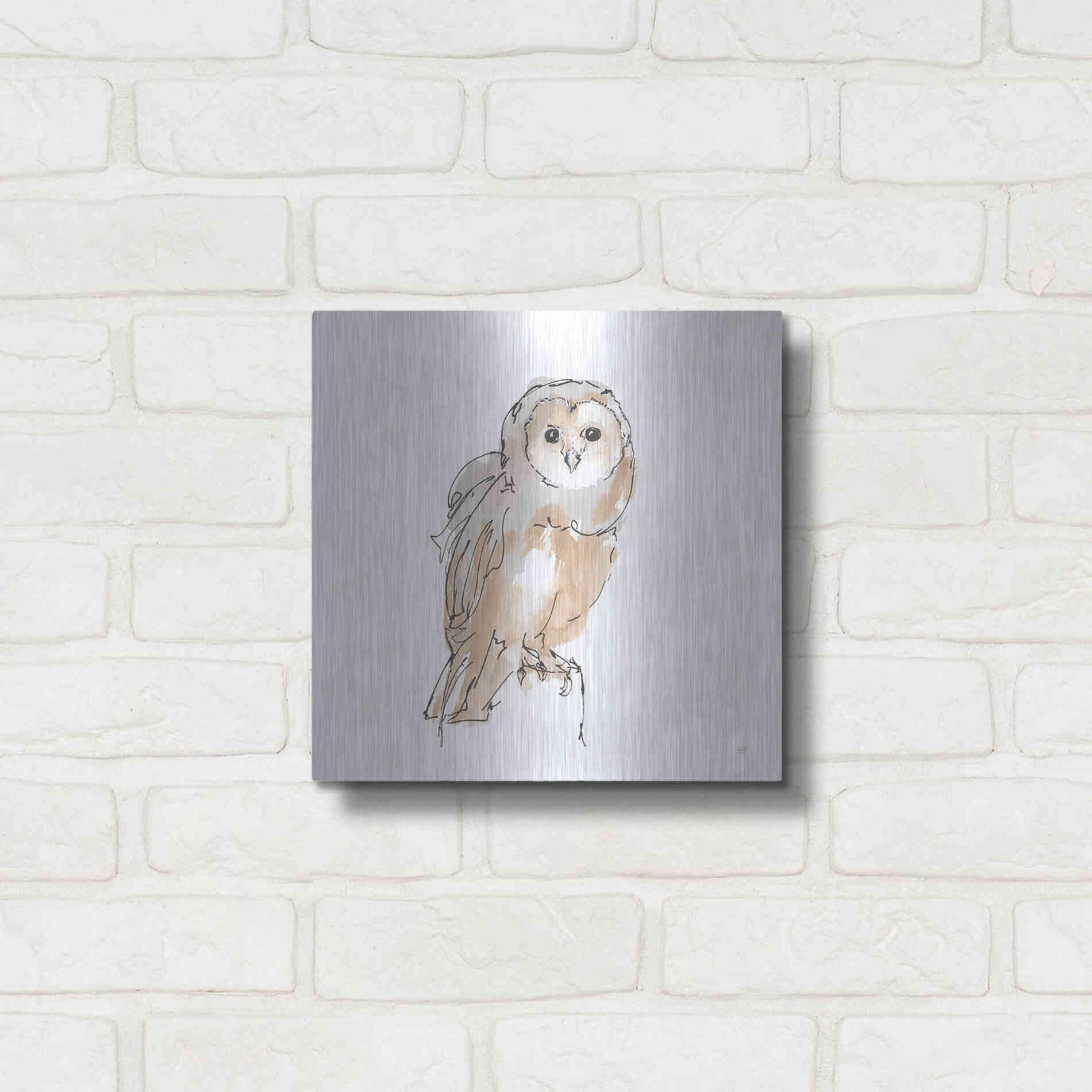 Luxe Metal Art 'Barn Owl VIII' by Chris Paschke, Metal Wall Art,12x12