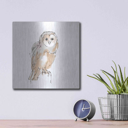 Luxe Metal Art 'Barn Owl VIII' by Chris Paschke, Metal Wall Art,12x12