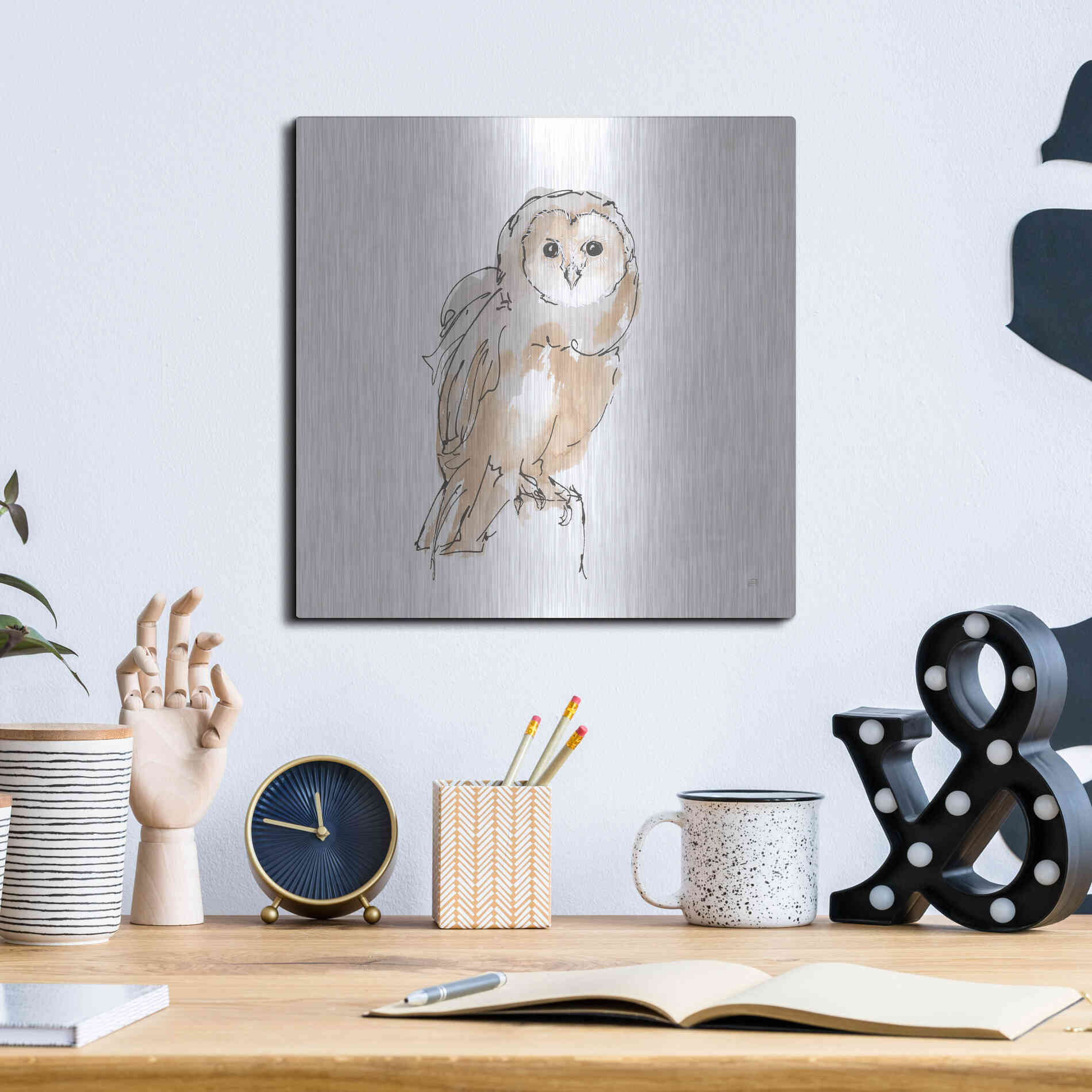 Luxe Metal Art 'Barn Owl VIII' by Chris Paschke, Metal Wall Art,12x12