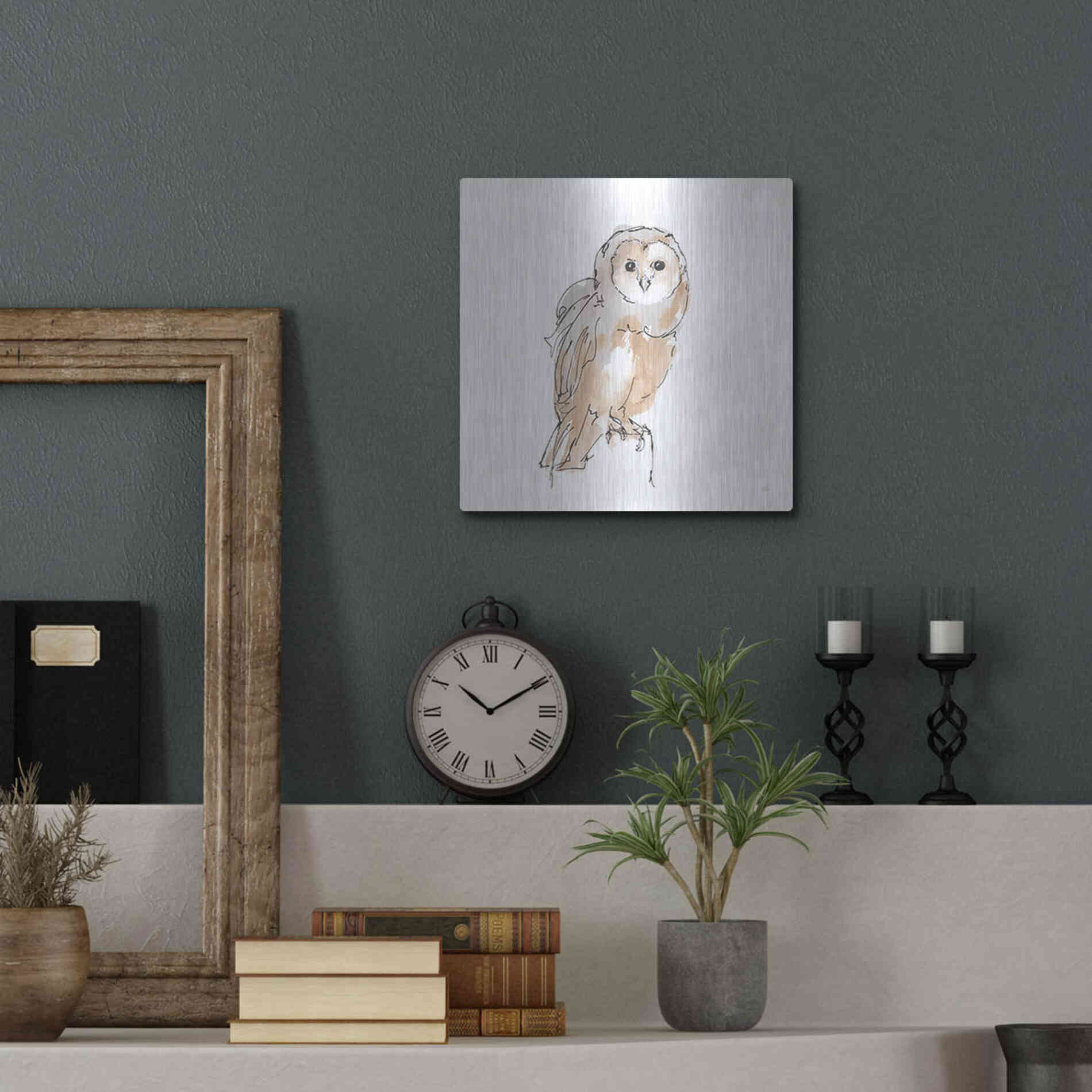 Luxe Metal Art 'Barn Owl VIII' by Chris Paschke, Metal Wall Art,12x12