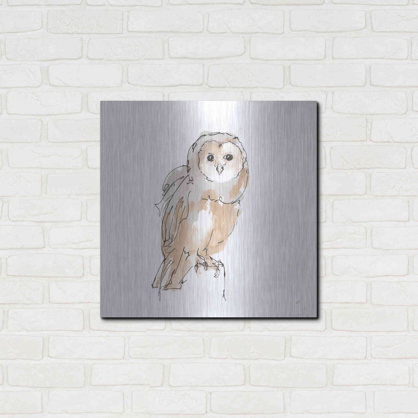 Luxe Metal Art 'Barn Owl VIII' by Chris Paschke, Metal Wall Art,24x24