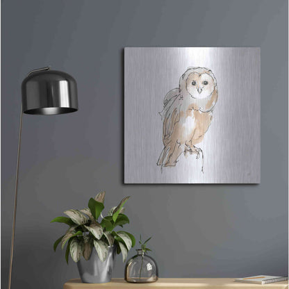 Luxe Metal Art 'Barn Owl VIII' by Chris Paschke, Metal Wall Art,24x24