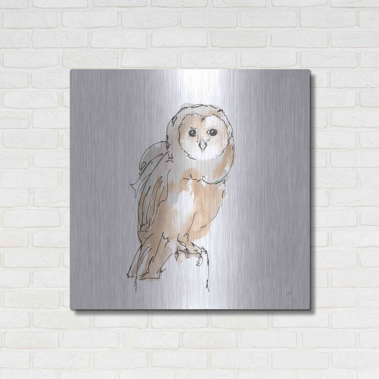 Luxe Metal Art 'Barn Owl VIII' by Chris Paschke, Metal Wall Art,36x36