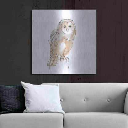 Luxe Metal Art 'Barn Owl VIII' by Chris Paschke, Metal Wall Art,36x36