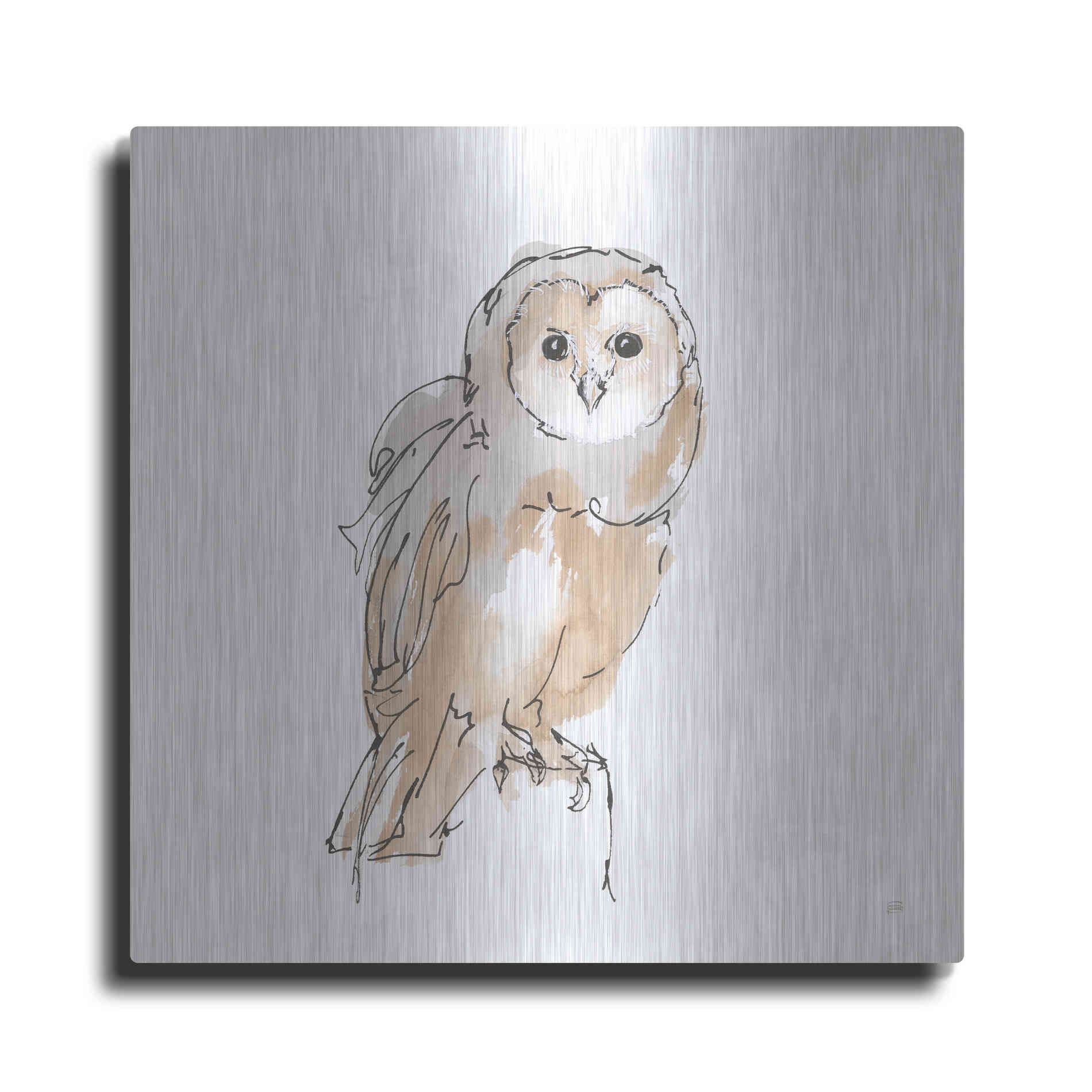 Luxe Metal Art 'Barn Owl VIII' by Chris Paschke, Metal Wall Art