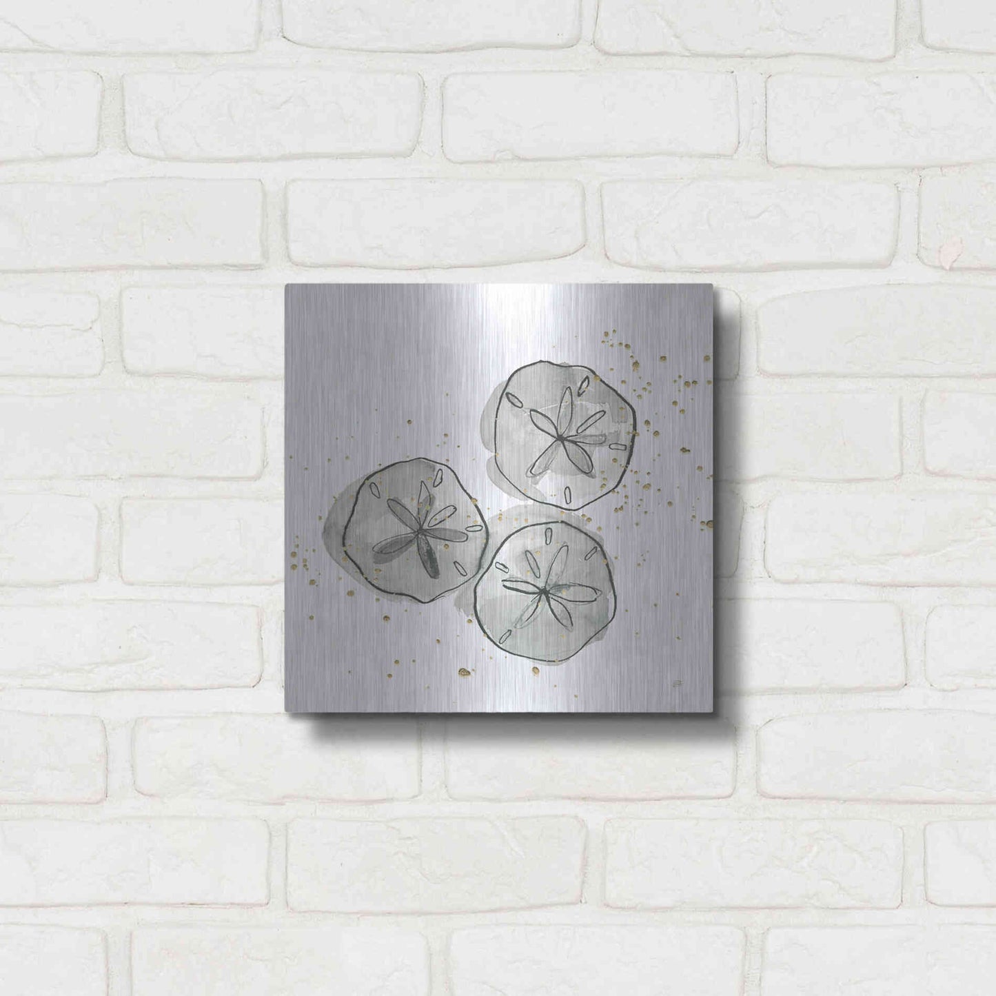 Luxe Metal Art 'Sand Dollar III' by Chris Paschke, Metal Wall Art,12x12