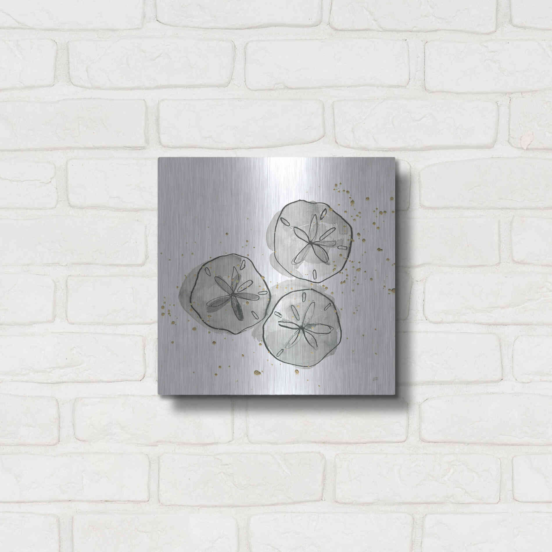 Luxe Metal Art 'Sand Dollar III' by Chris Paschke, Metal Wall Art,12x12