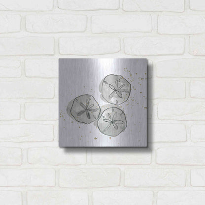 Luxe Metal Art 'Sand Dollar III' by Chris Paschke, Metal Wall Art,12x12
