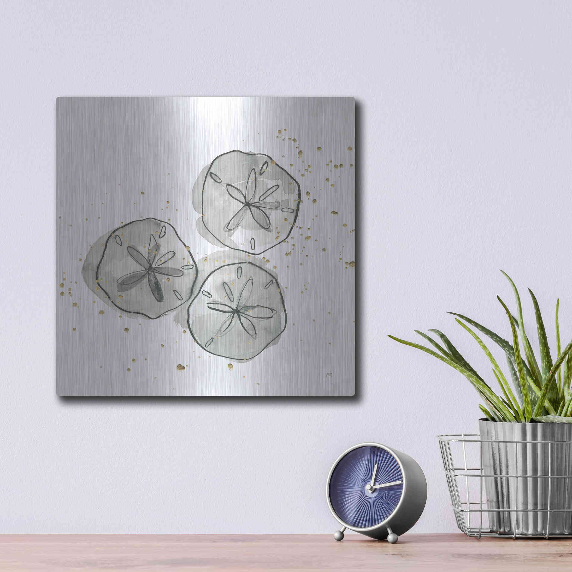 Luxe Metal Art 'Sand Dollar III' by Chris Paschke, Metal Wall Art,12x12
