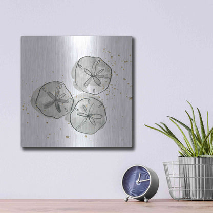 Luxe Metal Art 'Sand Dollar III' by Chris Paschke, Metal Wall Art,12x12
