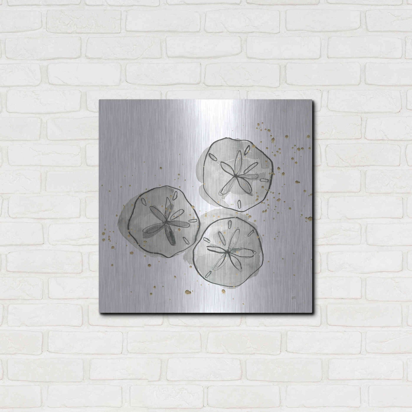 Luxe Metal Art 'Sand Dollar III' by Chris Paschke, Metal Wall Art,24x24